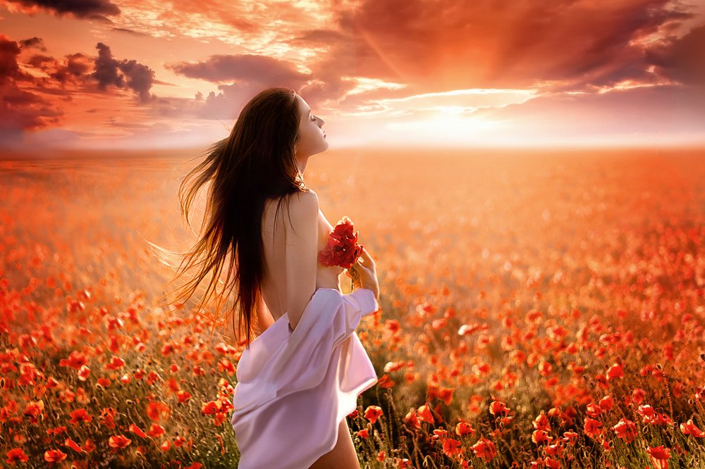 Маковый закат