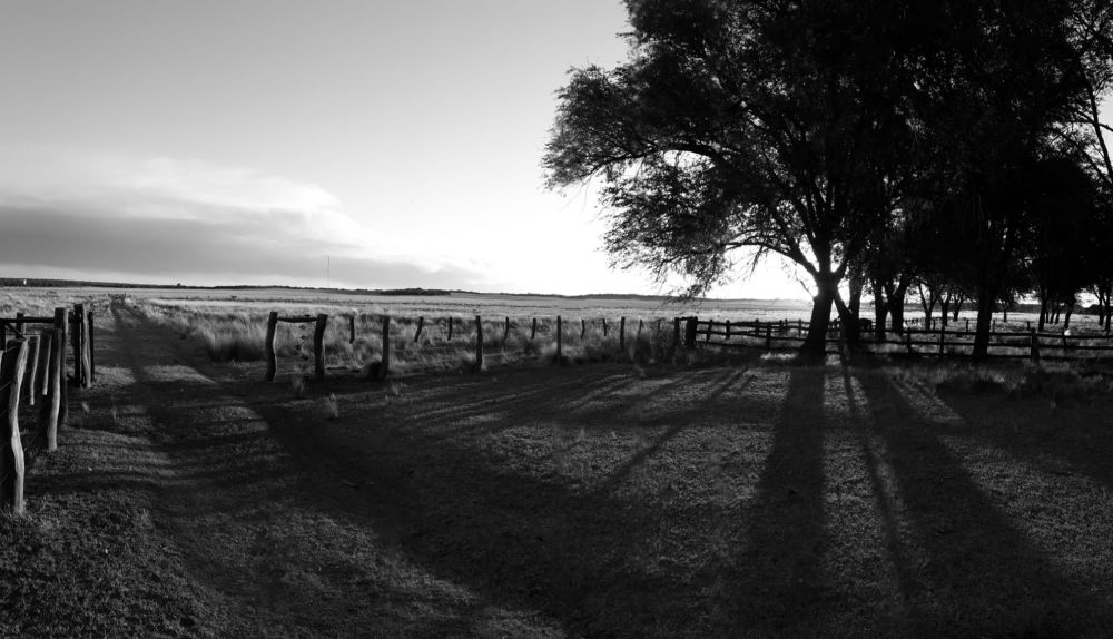 Atardecer Pampeano