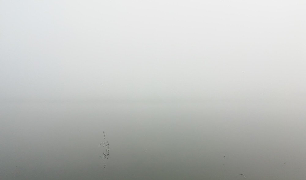 Дзен стеблиевских болот.