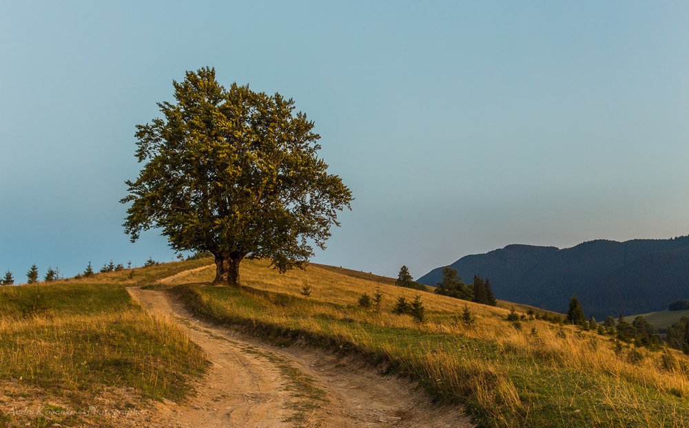 Photograph by Андрей Косенко