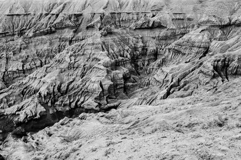 Photograph by Айсултан Каражигитов