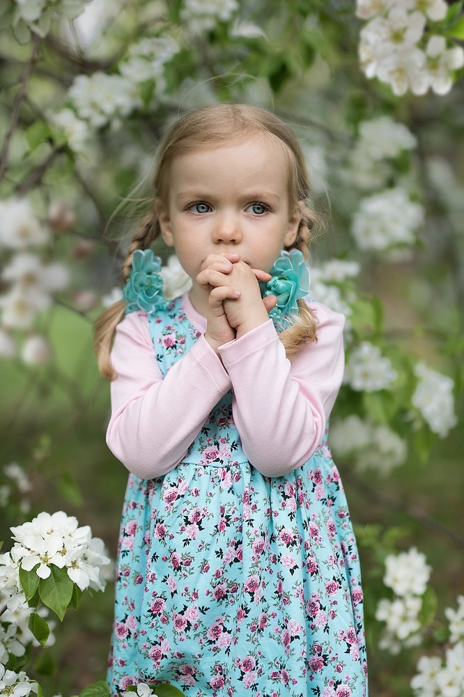 Один раз в год сады цветут