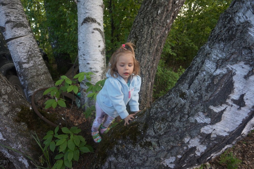 В гнёдзышке