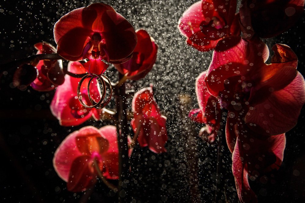 Photograph by Сергей Самойлов