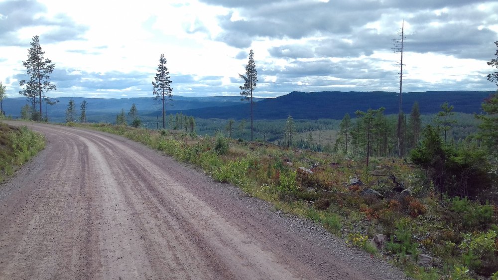 Sweden. The road to the north ...