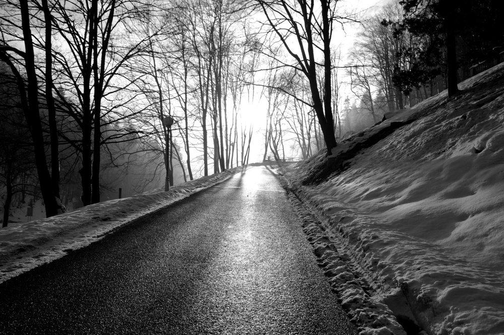 Весенний лес