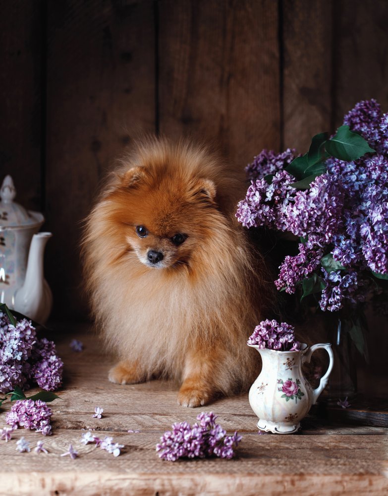 Photograph by Kristina Shavratskaya