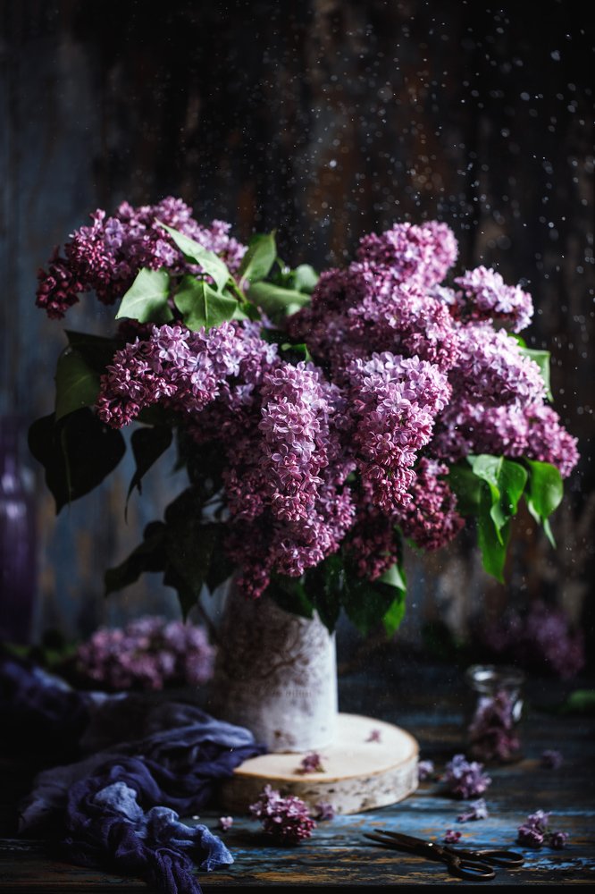 Photograph by Kristina Shavratskaya