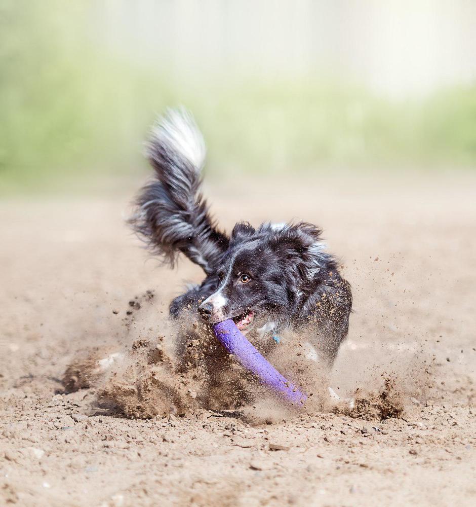 Photograph by Анастасия Есаулова