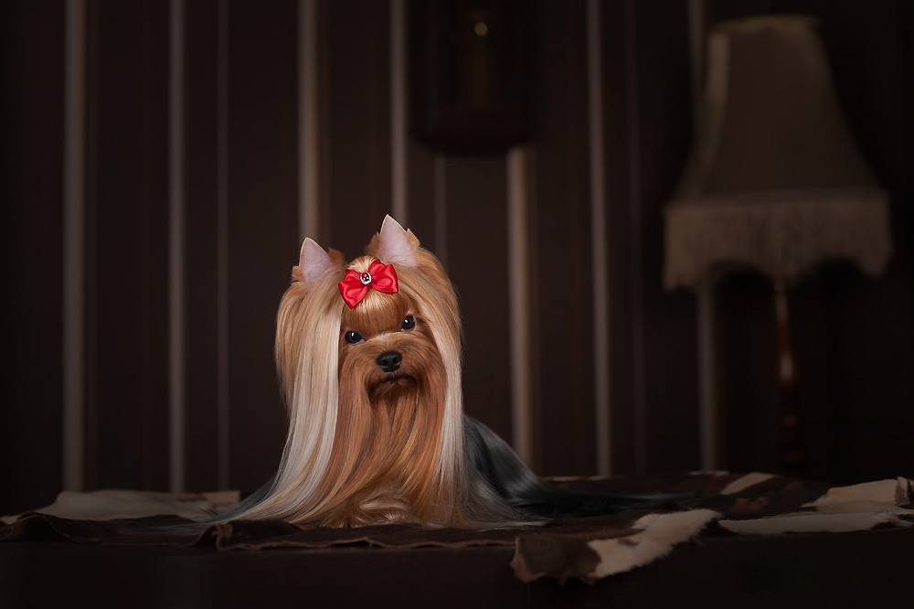 Photograph by Первенцева Елена