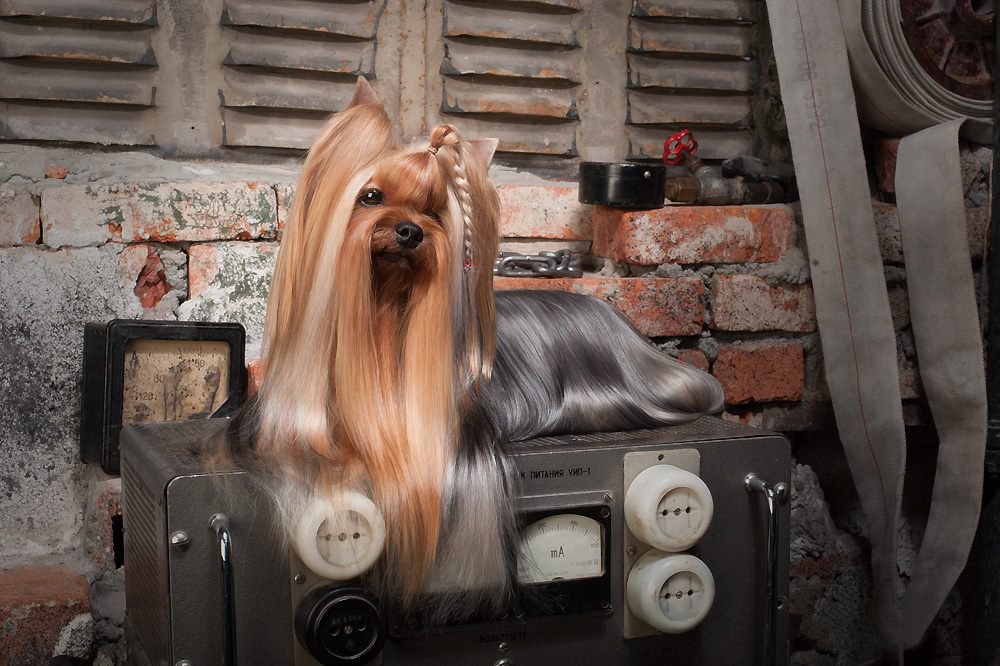 Photograph by Первенцева Елена