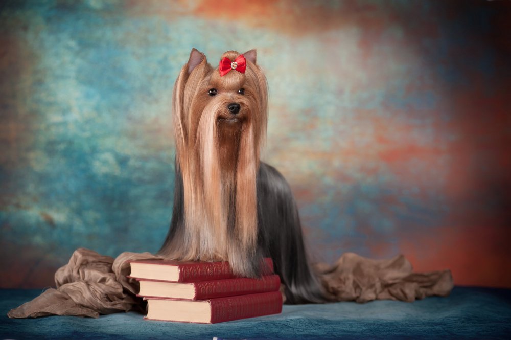 Photograph by Первенцева Елена