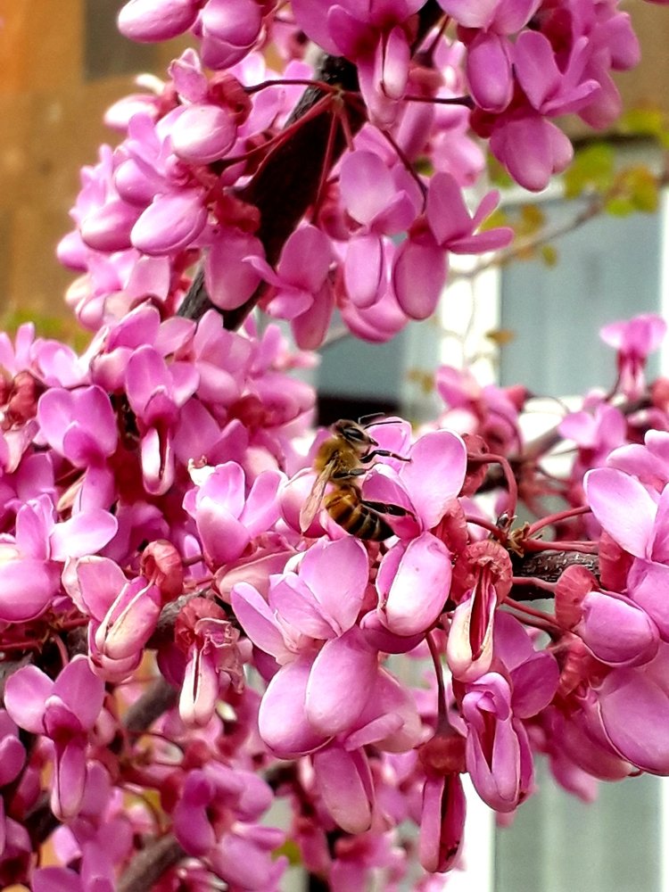 Без них нет жизни