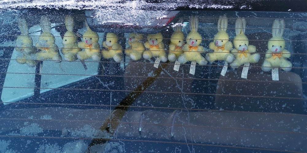 Заек бросила хозяйка...