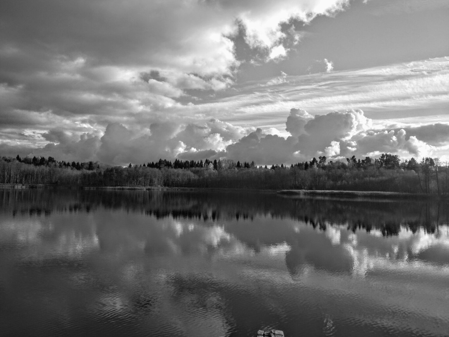 Photo #3244556