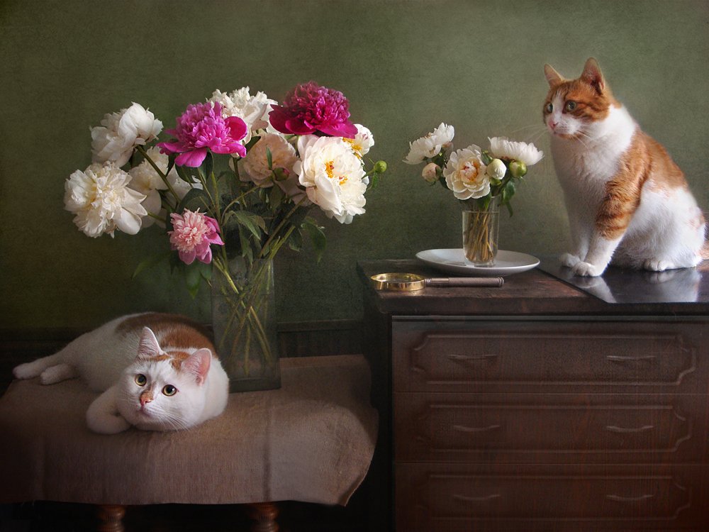 Пионов нежный аромат