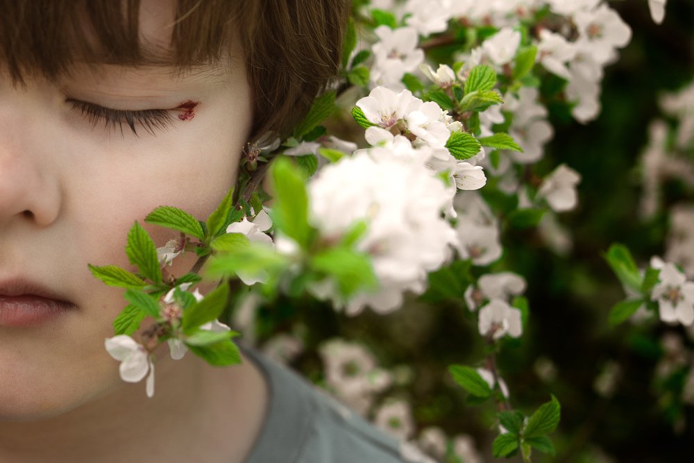 Мальчик и яблоня