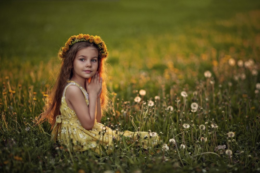 Закат в одуванчиках