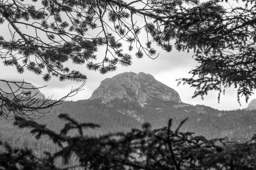 Photograph by Александр Иванов