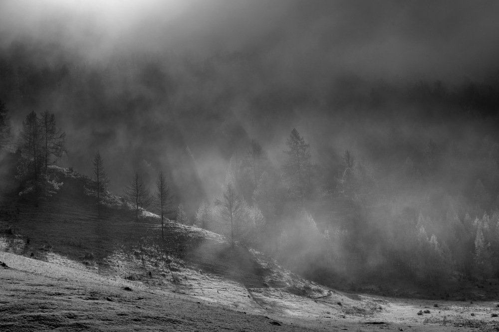 Алтай. Усть-Кан. Первый снег в октябре.