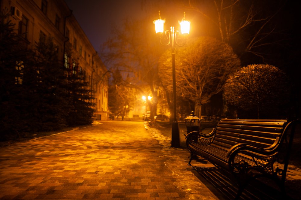 Ночью в парке