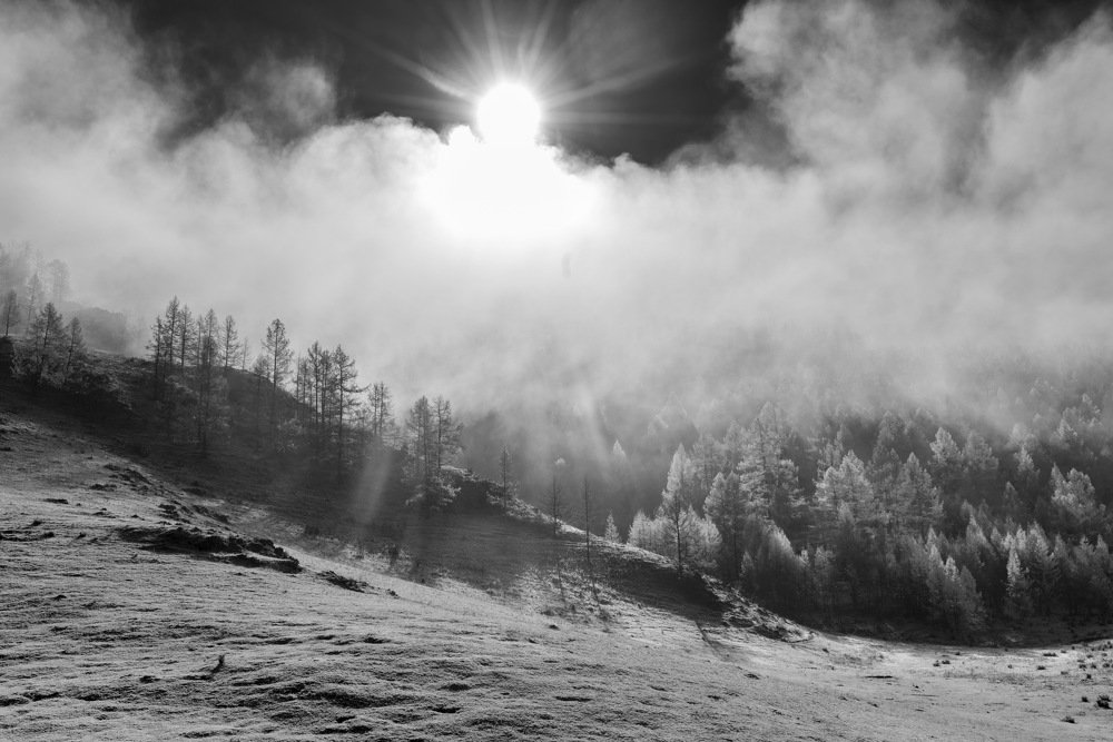 Алтай. Усть-Кан. Первый снег в октябре 2