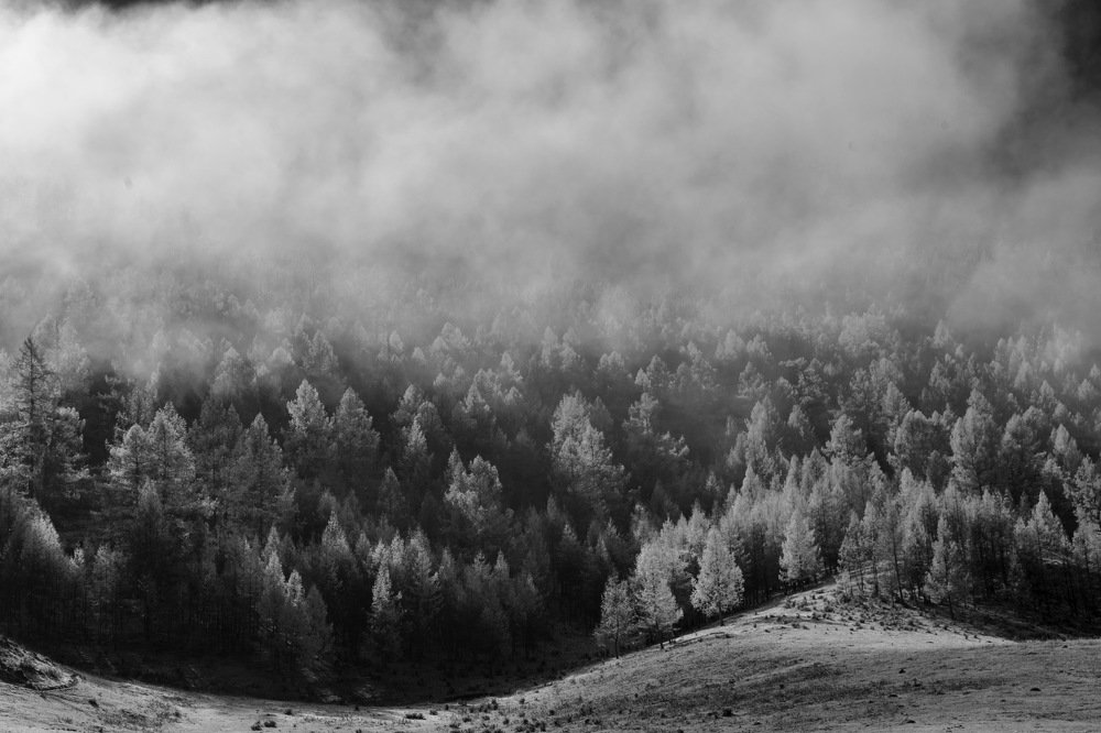 Алтай. Усть-Кан. Первый снег в октябре 3