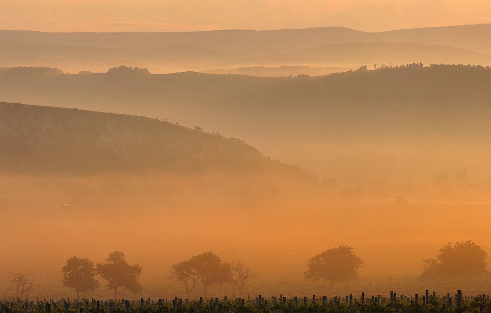 Время цвета