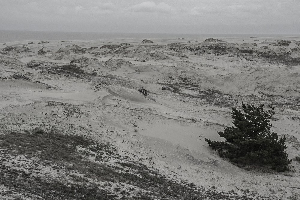 Дюны Балтики