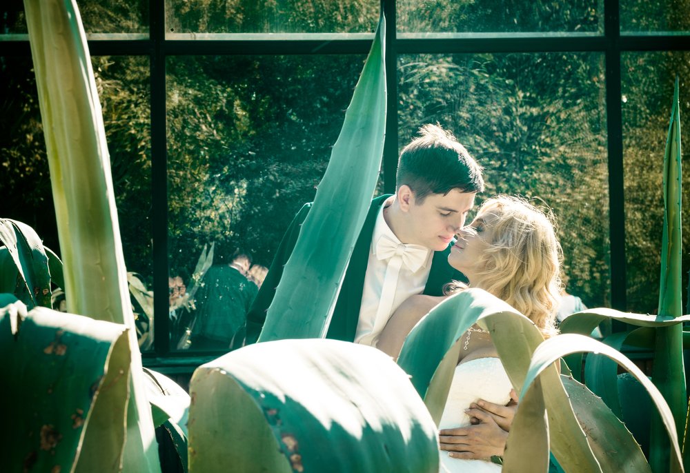 В огороде, среди кактусов любовь!