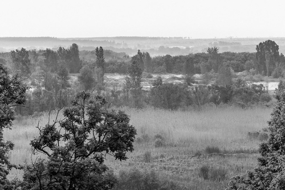 Утренняя дымка..