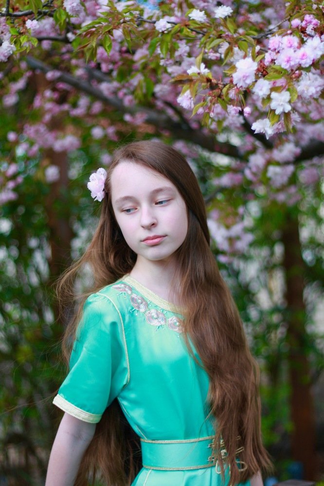 Цветок сакуры