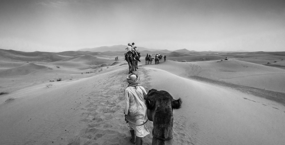 camelride in the sahara