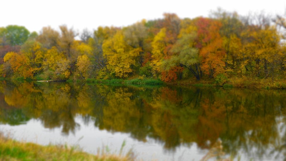 Осень, золотая пора.