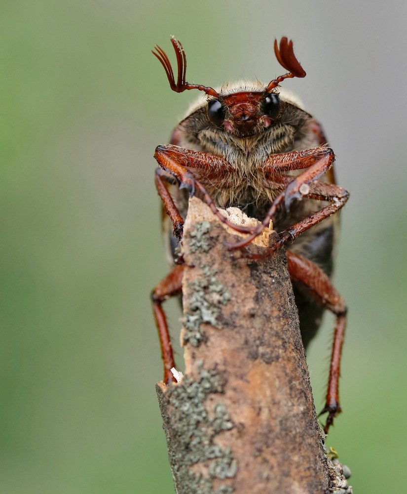 Photograph by Игорь Осипов