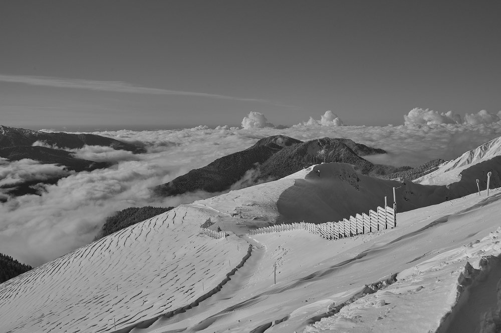 Photograph by Роман Сычев