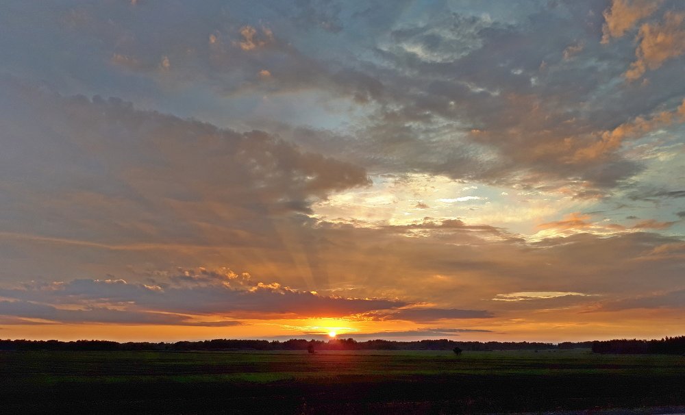 Photograph by Роман Сычев