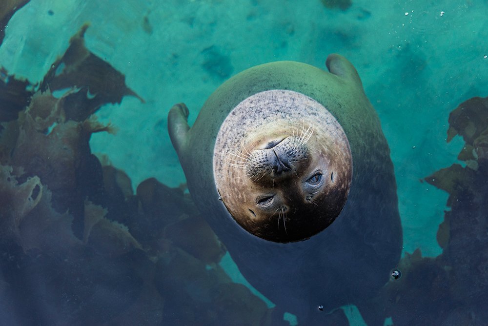 Между небом и водой