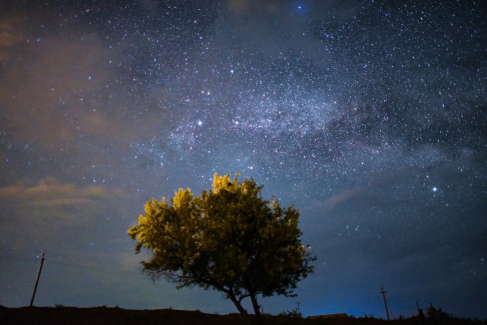 Photograph by Рустам Тулендеев