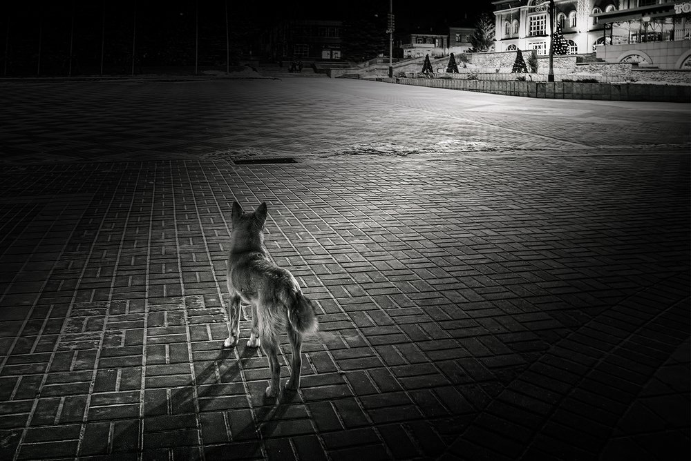 Одинокий в старинном городе.