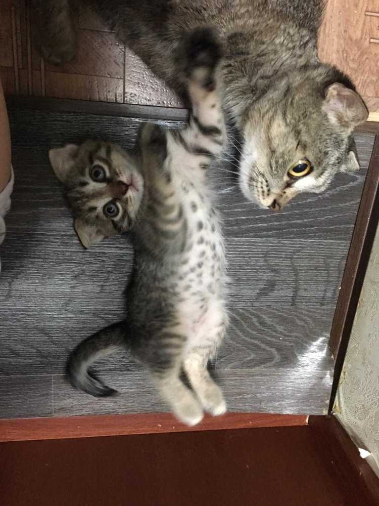 Photograph by Рустам Тулендеев