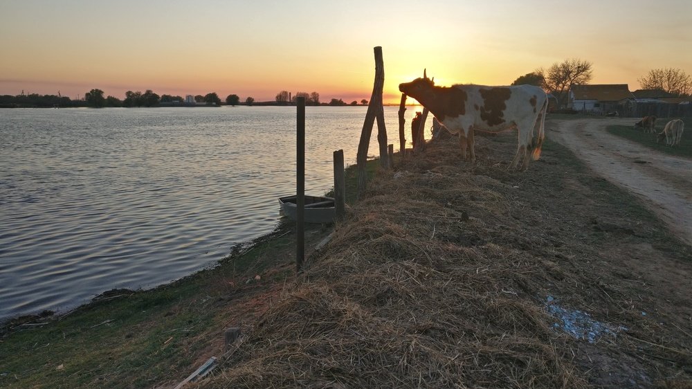 Photograph by Рустам Тулендеев