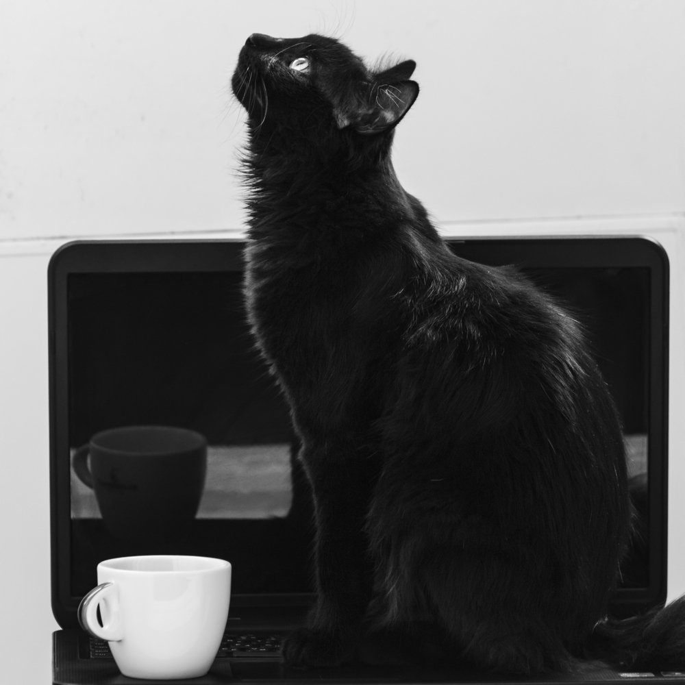 Фотография автора Андрей Серый