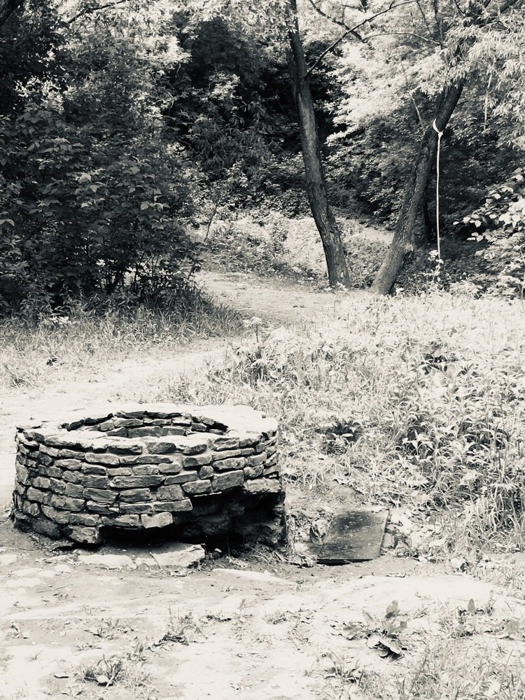 Photograph by Ирина