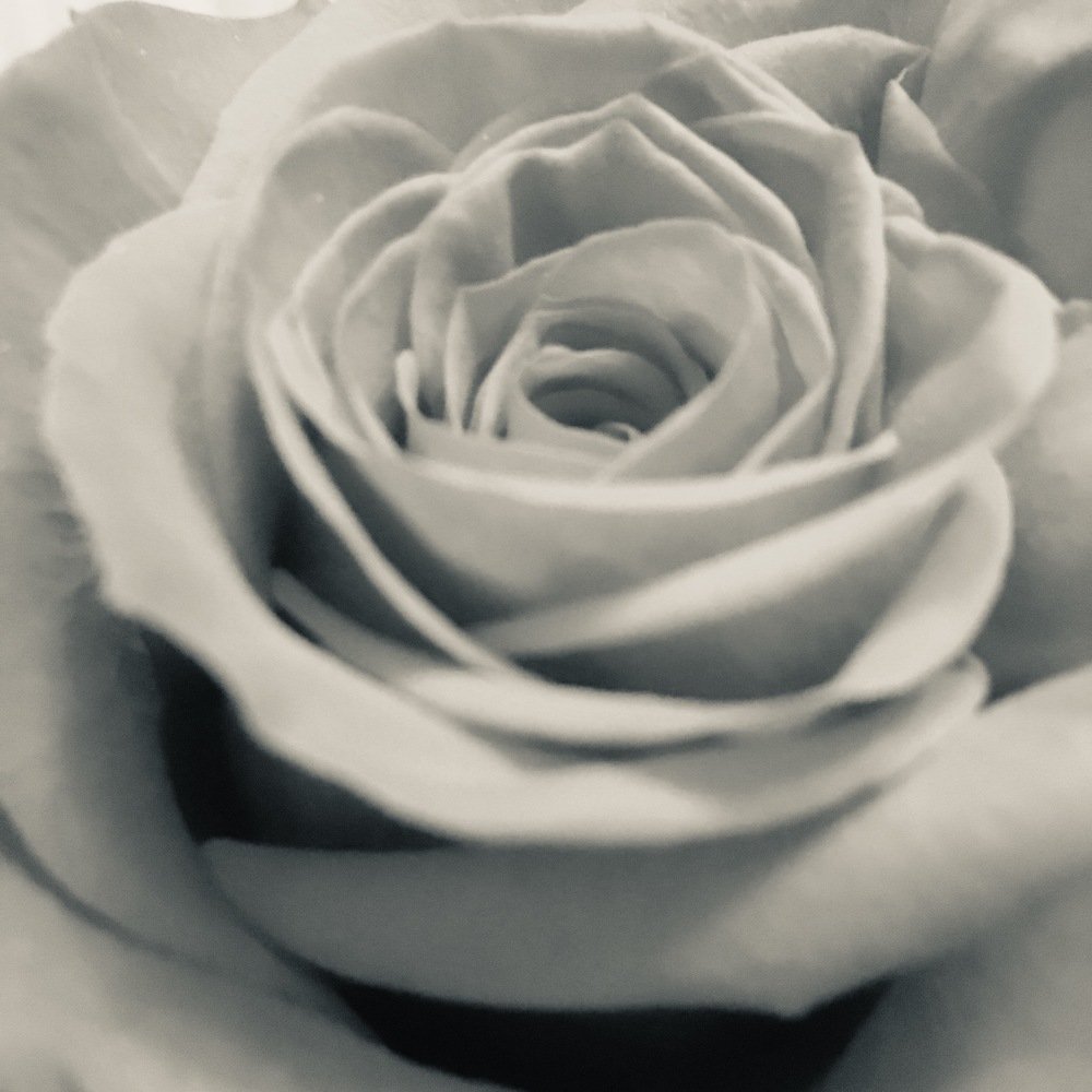Photograph by Ирина