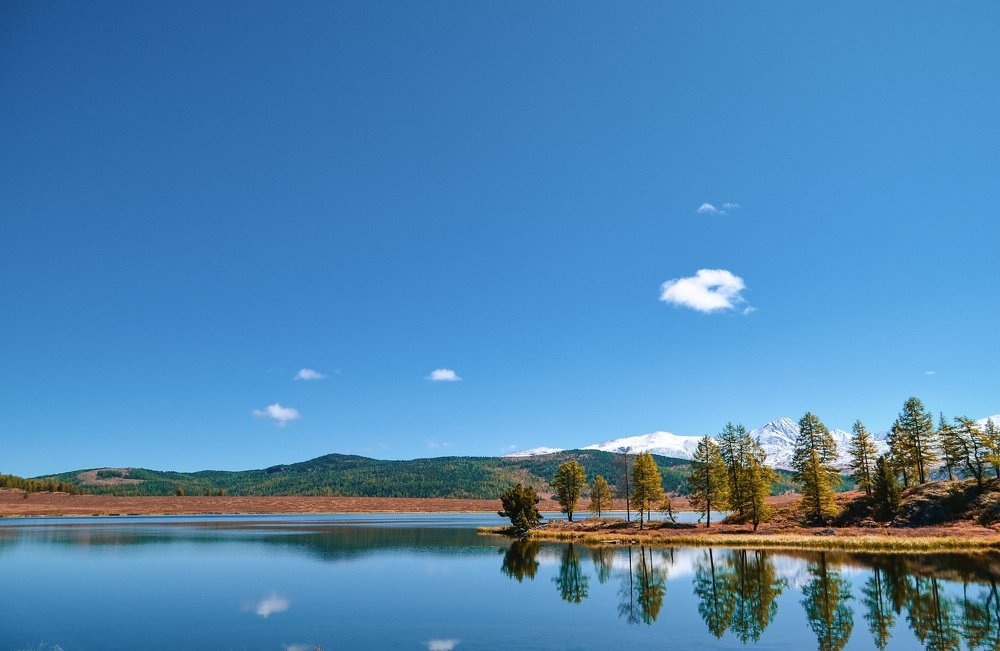 Алтайская безмятежность