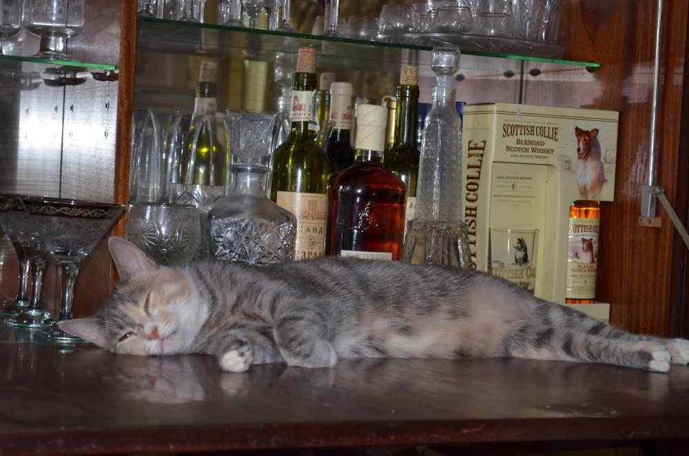 Photograph by Сергей. Андреев.