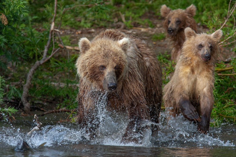 Ловись рыбка большая и маленькая