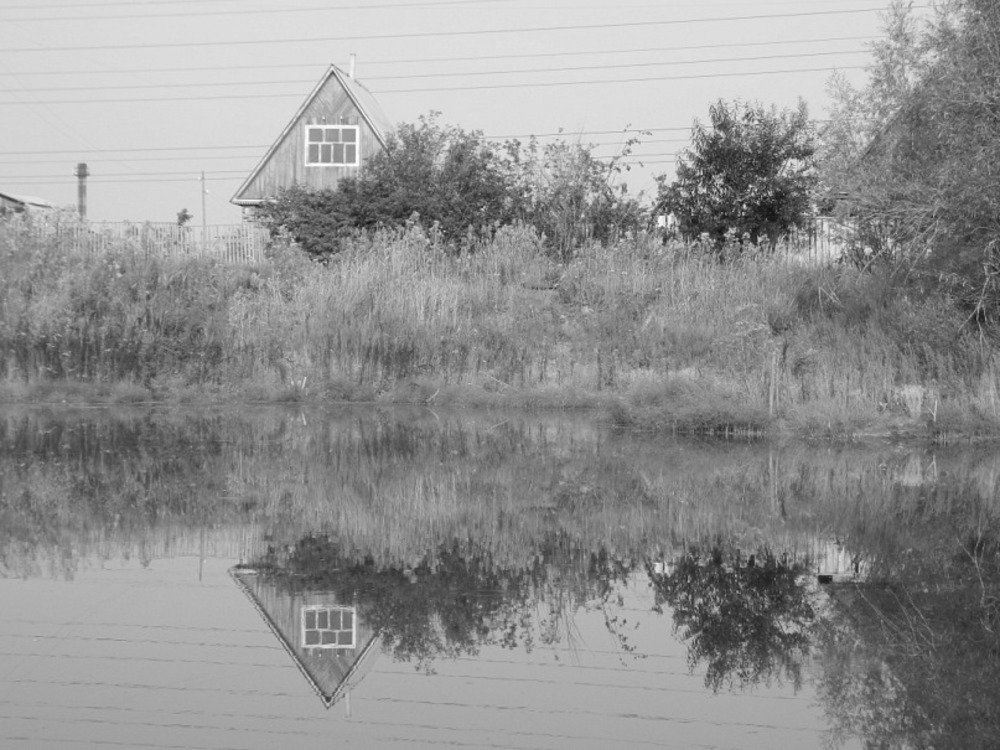 Отражение и реальность