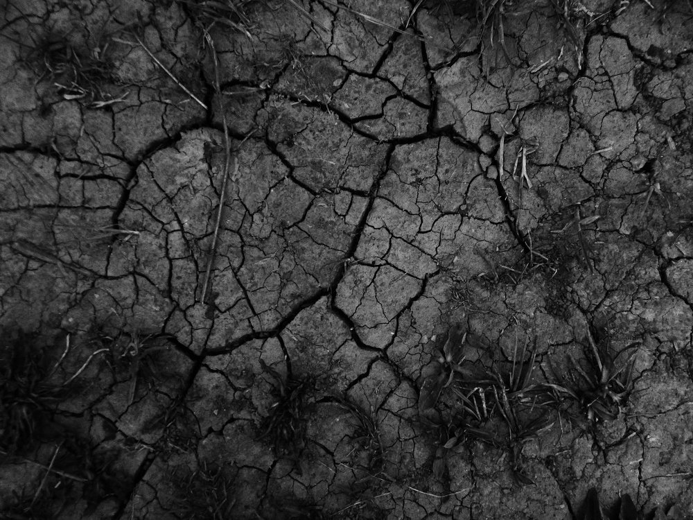 Photograph by Aleksandra Protasova